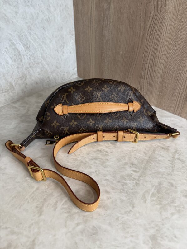 Louis Vuitton Monogram Bumbag