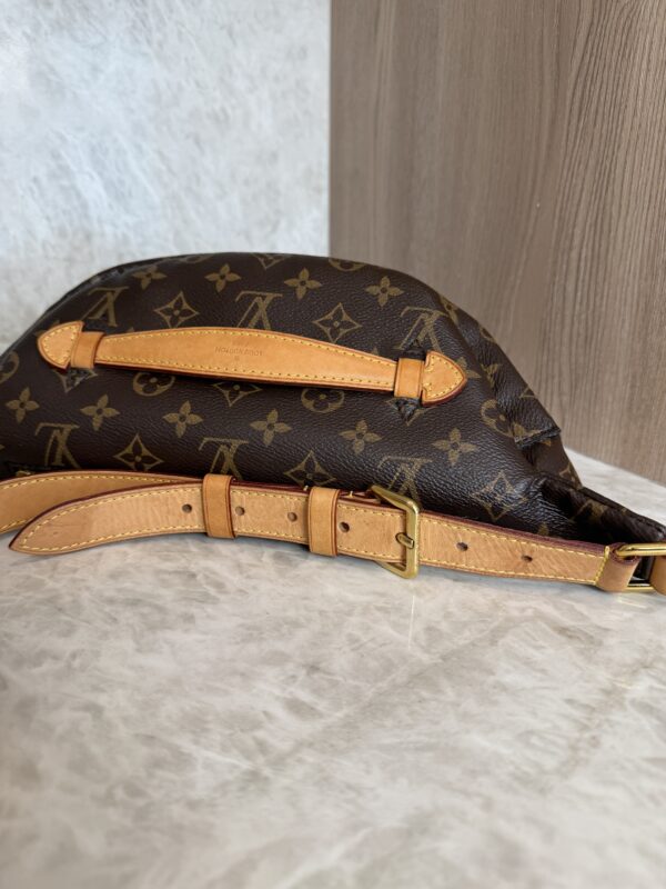 Louis Vuitton Monogram Bumbag