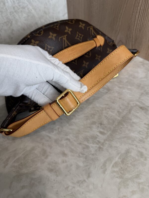 Louis Vuitton Monogram Bumbag