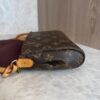 Louis Vuitton Monogram Favorite MM