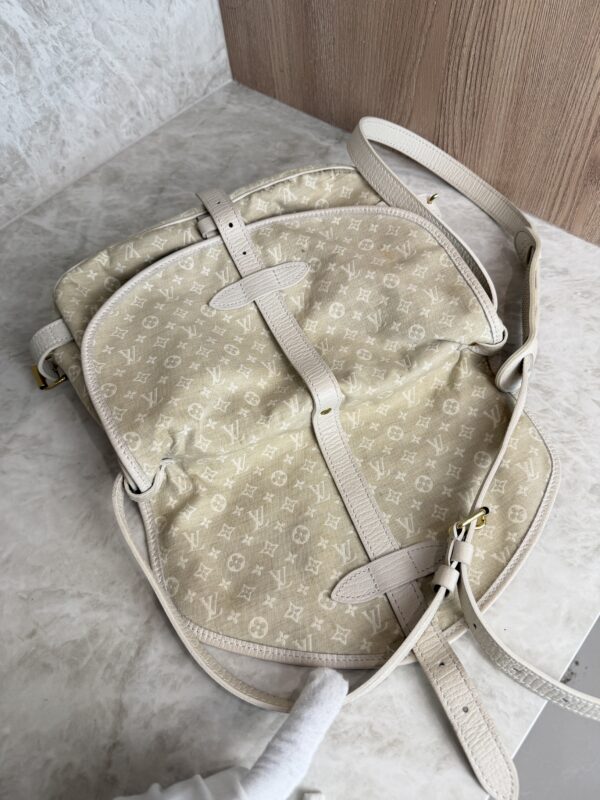Louis Vuitton Monogram Mini Lin