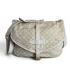 Louis Vuitton Monogram Mini Lin