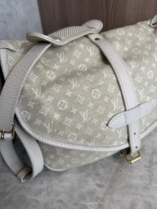 Louis Vuitton Monogram Mini Lin