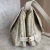 Louis Vuitton Monogram Mini Lin