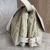 Louis Vuitton Monogram Mini Lin