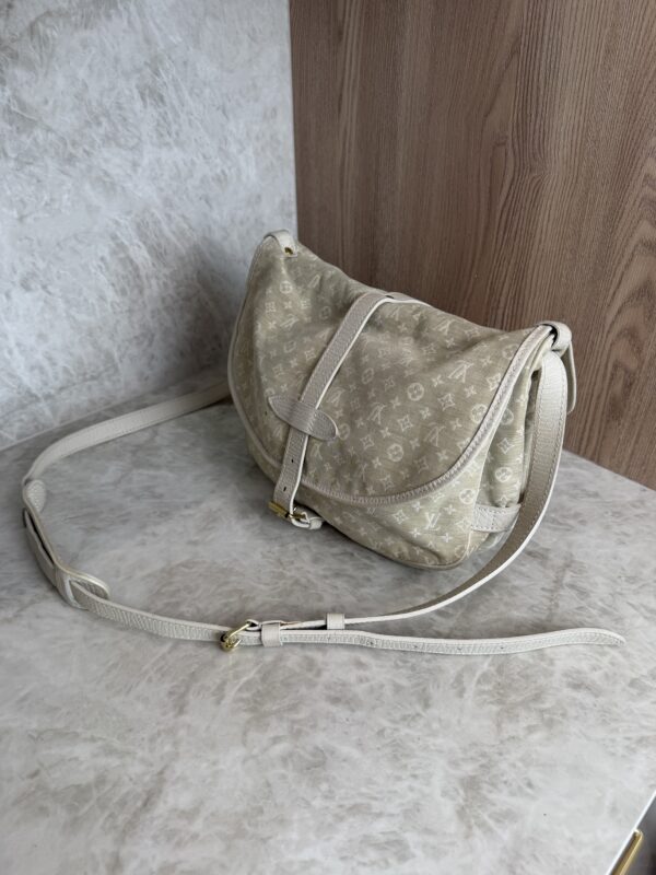 Louis Vuitton Monogram Mini Lin