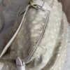 Louis Vuitton Monogram Mini Lin