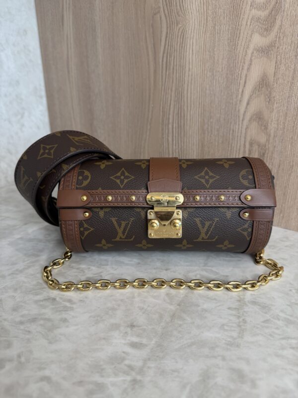 Louis Vuitton Monogram Papillon Trunk (Copy)