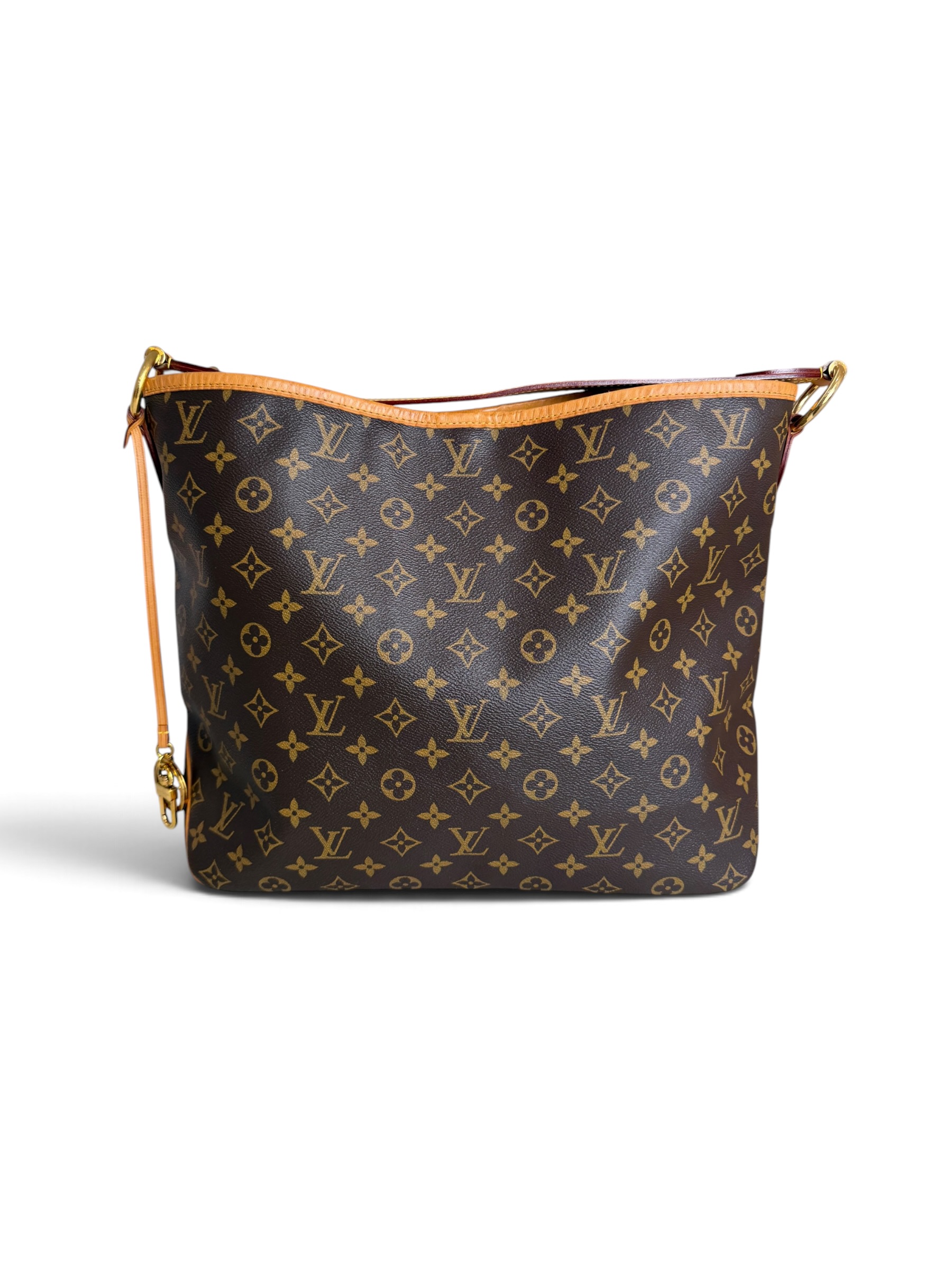 Louis Vuitton Monogram Canvas Delightful MM NM Bag