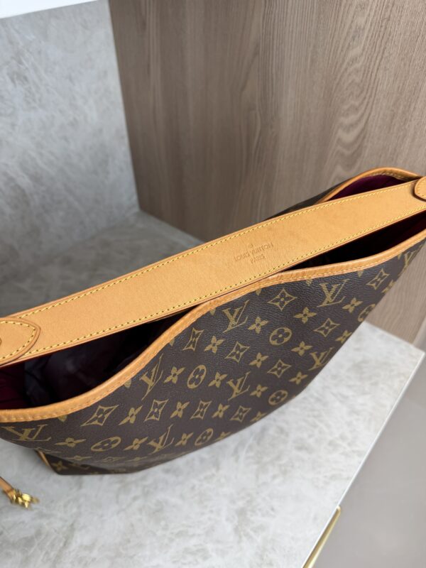 Louis Vuitton Monogram Canvas Delightful MM NM Bag