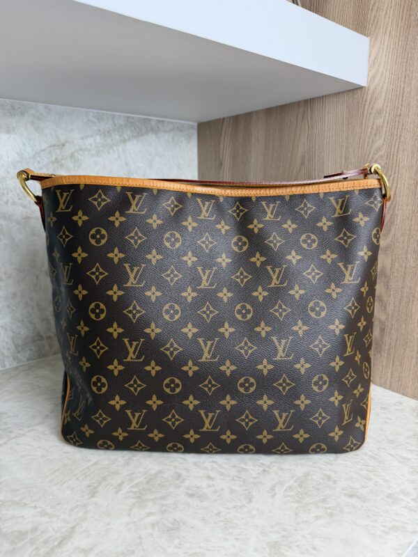 Louis Vuitton Monogram Canvas Delightful MM NM Bag