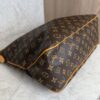 Louis Vuitton Monogram Canvas Delightful MM NM Bag