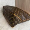 Louis Vuitton Monogram Canvas Delightful MM NM Bag
