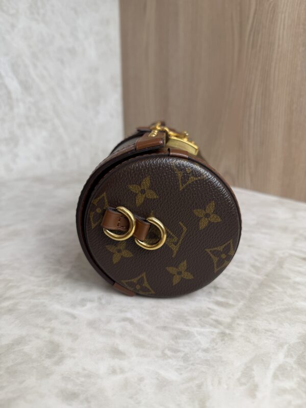 Louis Vuitton Monogram Papillon Trunk