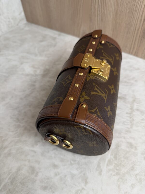 Louis Vuitton Monogram Papillon Trunk