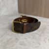 Louis Vuitton Monogram Papillon Trunk