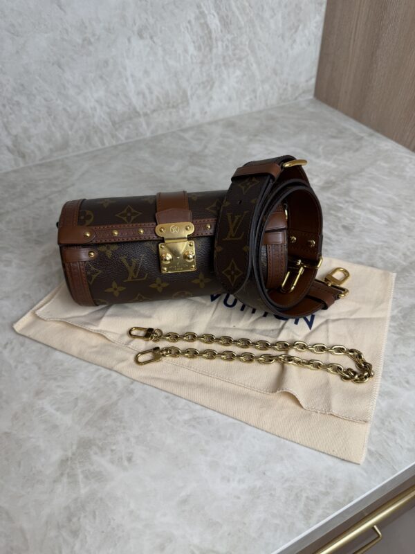 Louis Vuitton Monogram Papillon Trunk