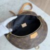 Louis Vuitton Monogram Bumbag