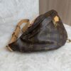 Louis Vuitton Monogram Bumbag