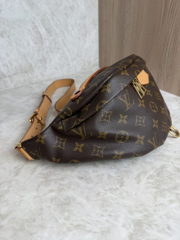 Louis Vuitton Monogram Bumbag