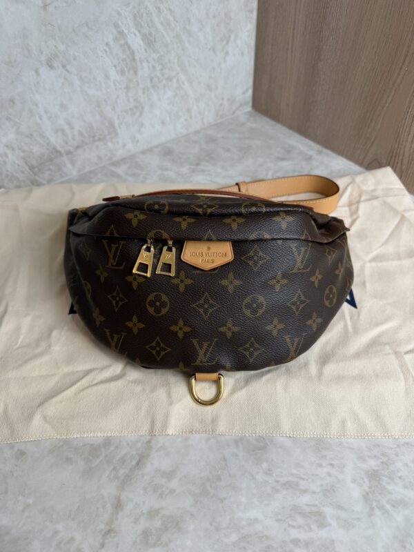 Louis Vuitton Monogram Bumbag