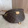Louis Vuitton Monogram Bumbag