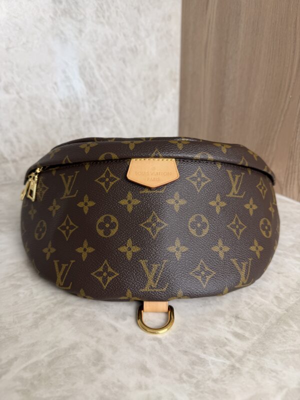Louis Vuitton Monogram Bumbag