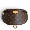 Louis Vuitton Monogram Bumbag