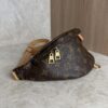 Louis Vuitton Monogram Bumbag