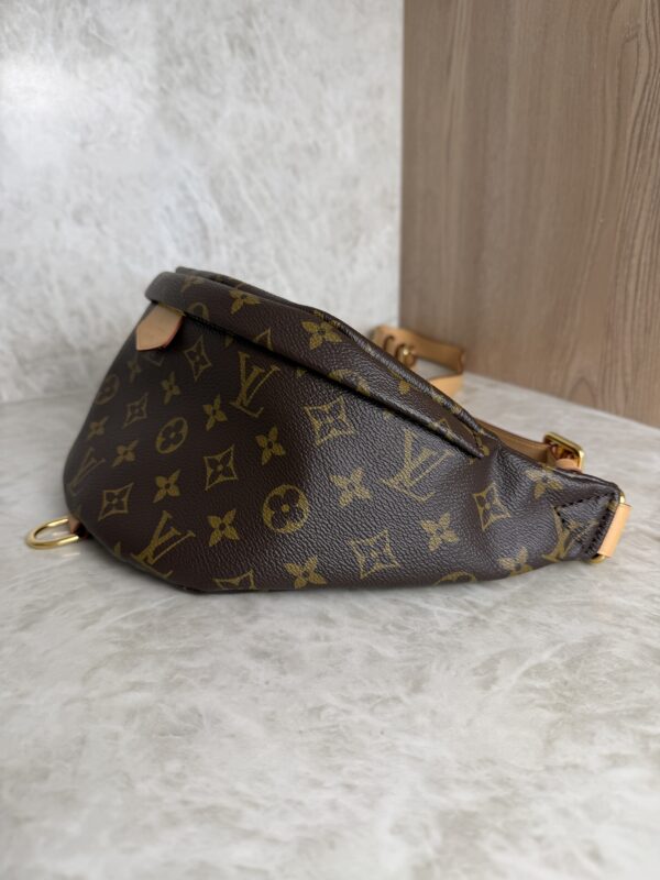 Louis Vuitton Monogram Bumbag