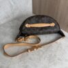 Louis Vuitton Monogram Bumbag
