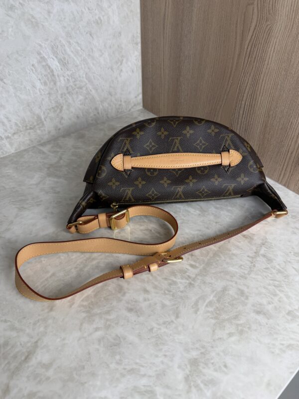 Louis Vuitton Monogram Bumbag