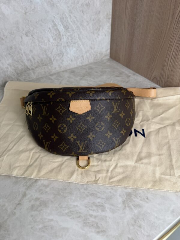 Louis Vuitton Monogram Bumbag