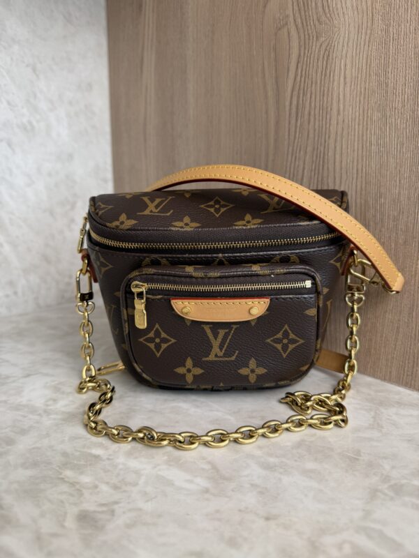 Louis Vuitton Monogram Mini Bumbag