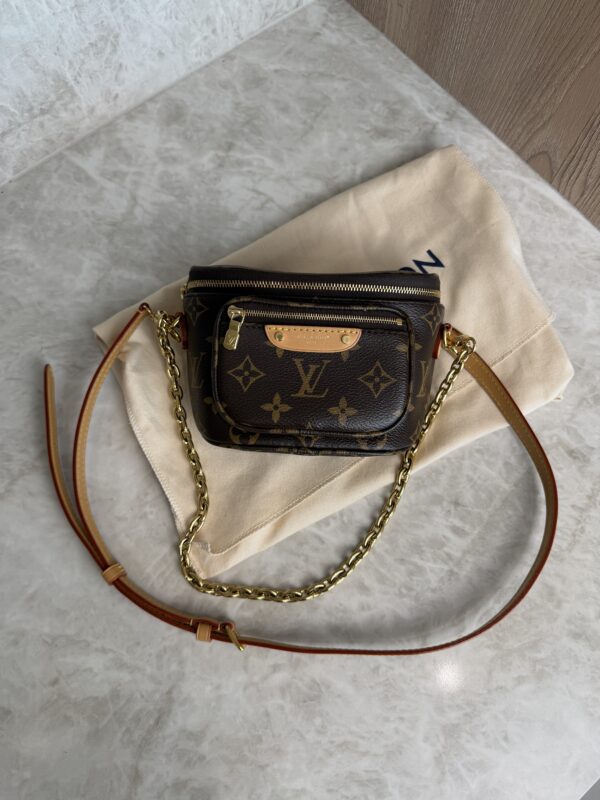 Louis Vuitton Monogram Mini Bumbag