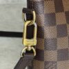 Louis Vuitton Siena Handbag Damier PM