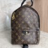 Louis Vuitton Palm Springs Backpack Monogram Canvas PM