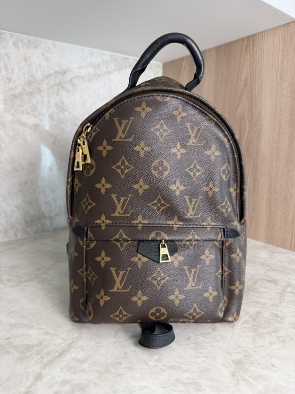 Louis Vuitton Palm Springs Backpack Monogram Canvas PM