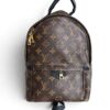 Louis Vuitton Palm Springs Backpack Monogram Canvas PM