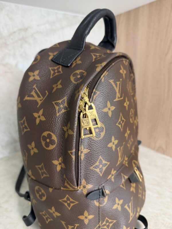 Louis Vuitton Palm Springs Backpack Monogram Canvas PM