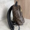 Louis Vuitton Palm Springs Backpack Monogram Canvas PM