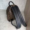 Louis Vuitton Palm Springs Backpack Monogram Canvas PM