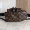 Louis Vuitton Palm Springs Backpack Monogram Canvas PM