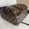 Louis Vuitton Palm Springs Backpack Monogram Canvas PM