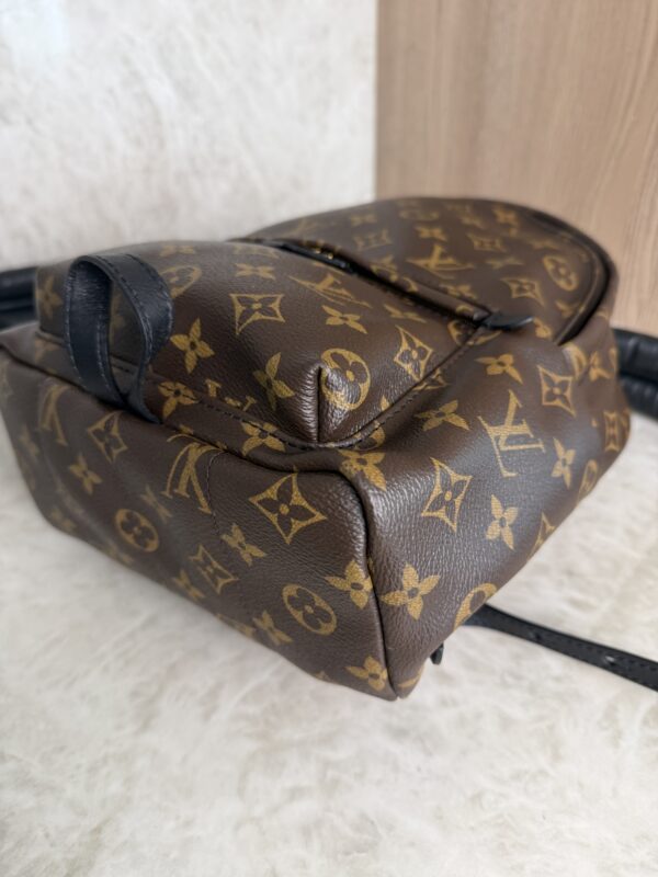 Louis Vuitton Palm Springs Backpack Monogram Canvas PM