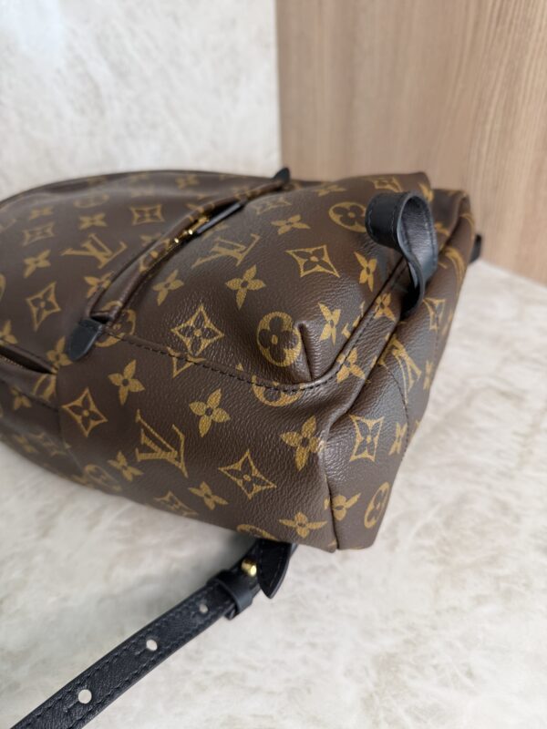Louis Vuitton Palm Springs Backpack Monogram Canvas PM