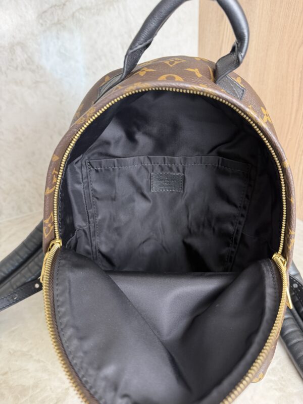 Louis Vuitton Palm Springs Backpack Monogram Canvas PM