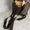 Louis Vuitton Monogram Bosphore Backpack
