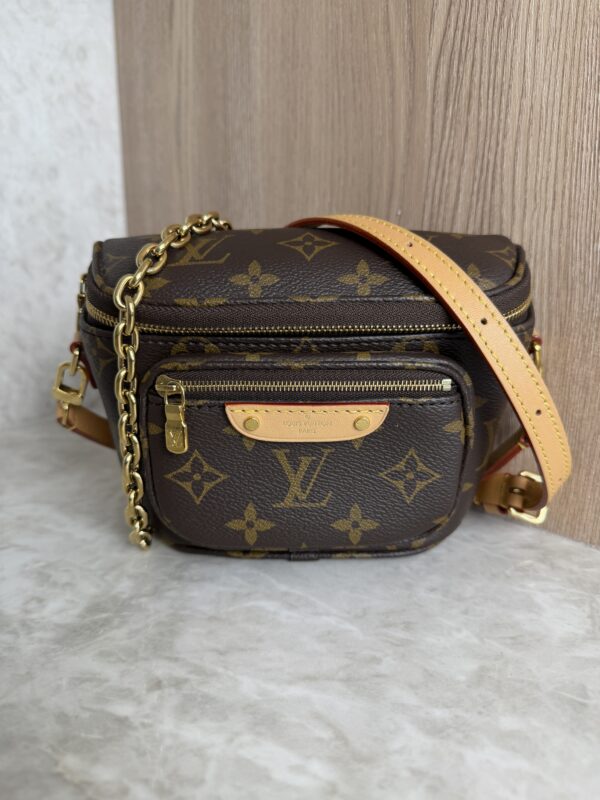 Louis Vuitton Monogram Mini Bumbag