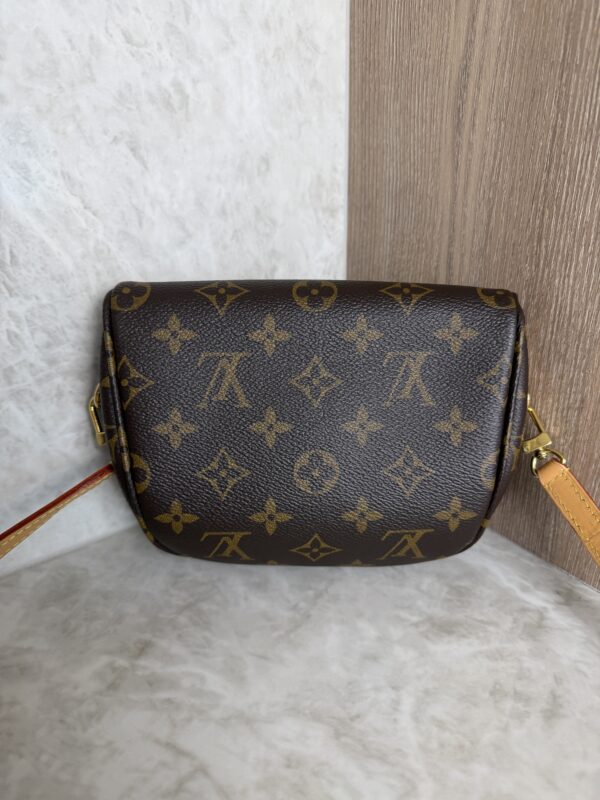 Louis Vuitton Monogram Mini Bumbag